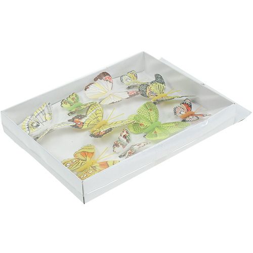 Floristik24 Farfalle con clip 5cm - 7cm assortite 10pz