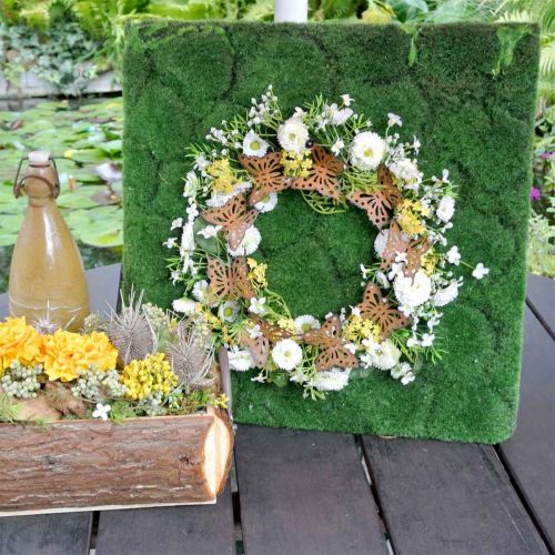 Floristik24 Decorazione farfalla, decorazione primaverile da appendere, anello ghirlanda, patina Ø30cm 2pz