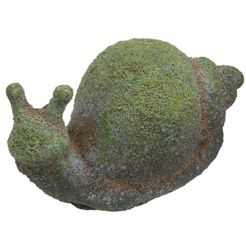 Floristik24 Statuetta da giardino lumaca muschio 31cm x 17cm H17cm