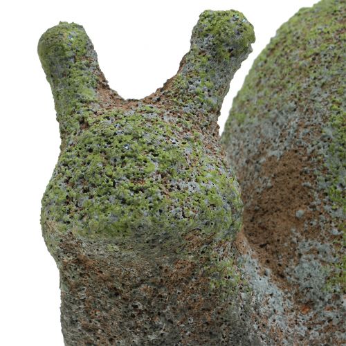 Floristik24 Statuetta da giardino lumaca muschio 31cm x 17cm H17cm