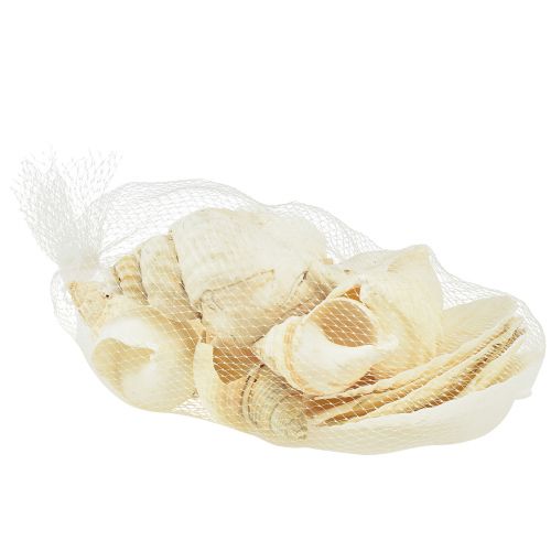 Prodotto Decorazione con guscio di lumaca Decorazione da tavola marittima bianca naturale 350g