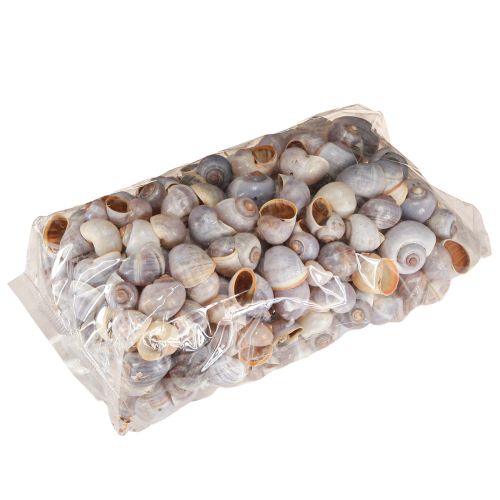 Prodotto Gusci di lumache natura 1kg