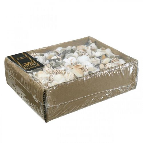 Floristik24 Mix Di Cozze Mini, Lumache Di Mare, Cozze Naturali L1–4cm 1000g