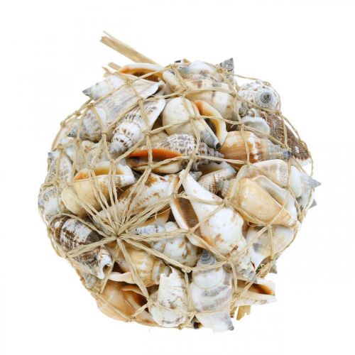 Prodotto Deco gusci di lumaca vuoti in rete di rafia lumache di mare 400g