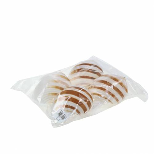 Floristik24 Lumaca a botte di lumaca di mare naturale 10-12 cm 4 pz