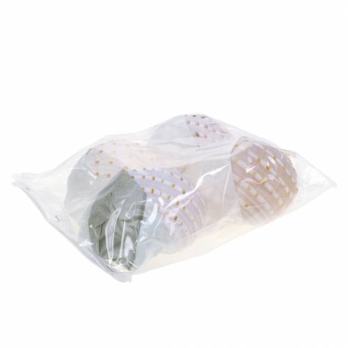 Floristik24 Lumaca conchiglia decorativa Tonna tessellata naturale 10-13 cm 4 pz