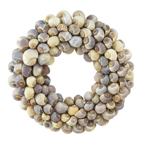 Floristik24 Ghirlanda di lumache per appendere ghirlanda decorativa marittima Nathai Ø35cm