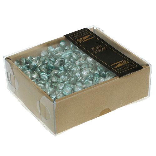 Floristik24 Guscio di lumaca blu-verde 500g