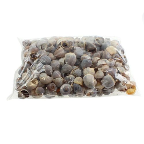 Prodotto Gusci di lumache natura 1kg