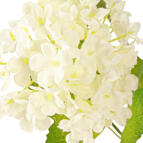 Prodotto Ramo di viburno artificiale Snowball con fiori bianchi L90cm