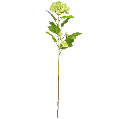 Prodotto Fiori artificiali a palla di neve Viburno artificiale verde 61cm 4 pz