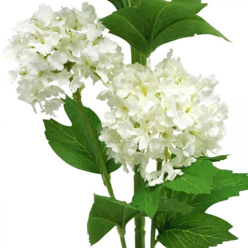 Floristik24 Palla di neve Ramo Pianta artificiale Fiore di seta Bianco Ø6,5 cm L78 cm