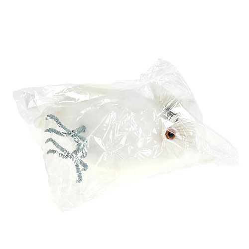 Floristik24 Civetta delle nevi bianca 18cm