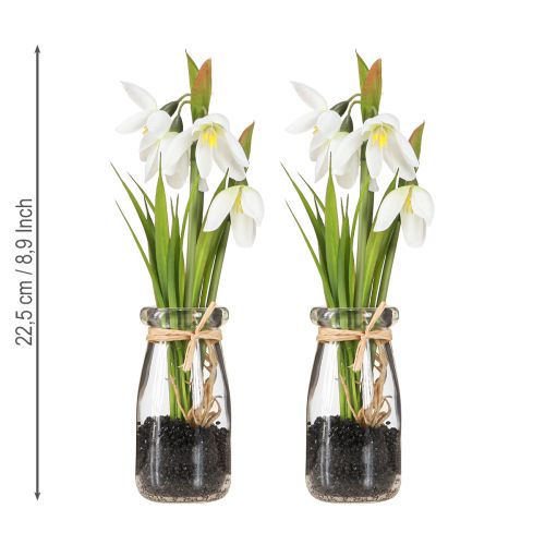 Prodotto Bucaneve artificiali in vetro fiori artificiali bianchi 22,5cm 2pz