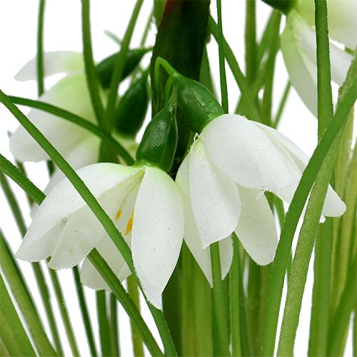 Floristik24 Bucaneve con palla d'erba 24 cm