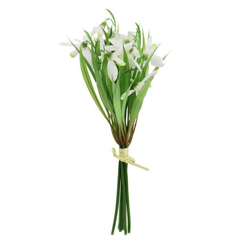 Floristik24 Bucaneve 23cm 7pz