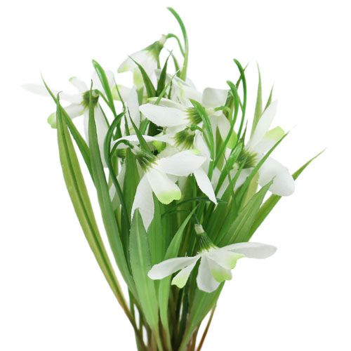 Floristik24 Bucaneve 23cm 7pz