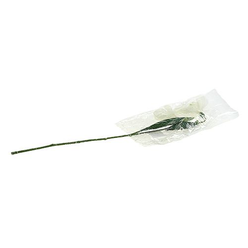 Floristik24 Snowdrops L48cm ricoperto di neve
