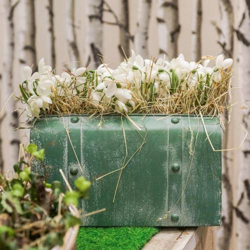 Floristik24 Bucaneve artificiali bianco 26,5 cm 6 pezzi