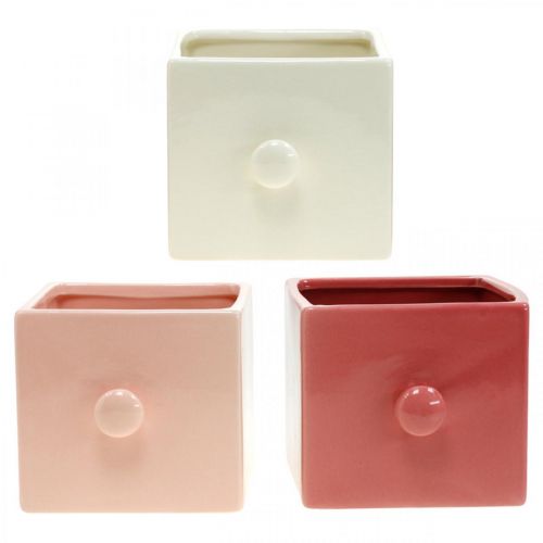 Floristik24 Cassetto per piantare, decorazione in ceramica, cassetto decorativo, fioriera 3 pezzi