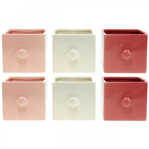 Floristik24 Cassetto per piante, cassetto decorativo, vaso in ceramica, fioriera 6 pezzi