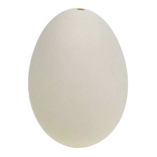 Floristik24 Uova di cigno 9cm bianco crema 6pz