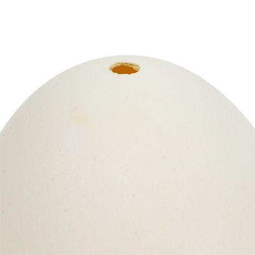 Floristik24 Uova di cigno 9cm bianco crema 6pz