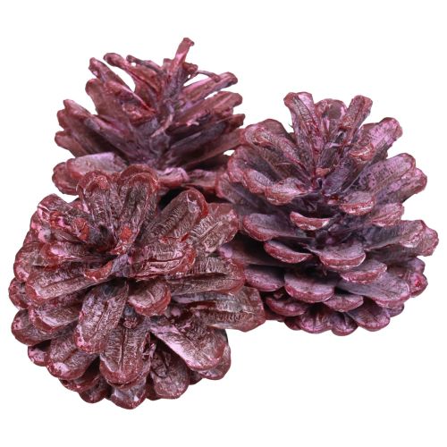 Pigne nere decorazione naturale rossa satinata 5–7 cm 1 kg