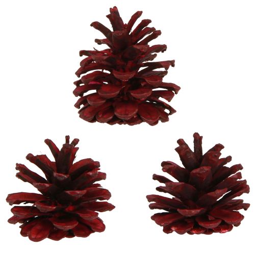 Prodotto Pigne nere Pigne decorative bordeaux rosse 6-8 cm 6 pz
