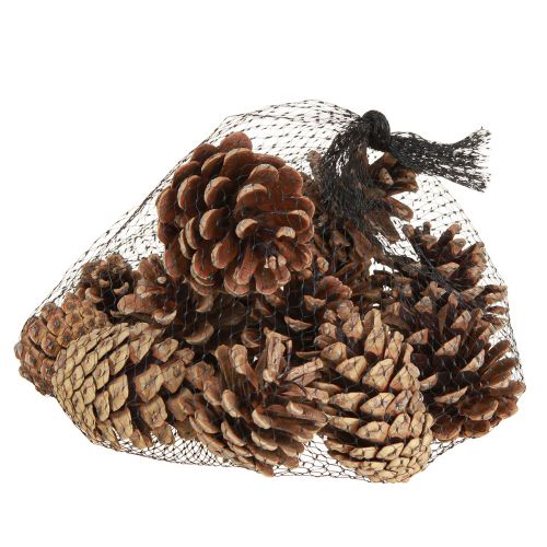 Prodotto Pigne nere decorative naturali 5-8 cm 250 g