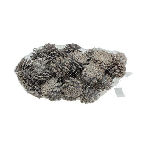 Prodotto Pigne nere 5-9 cm Bianche lavate 1kg