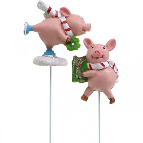 Floristik24 Deco maialino natalizio maialino portafortuna 4pz