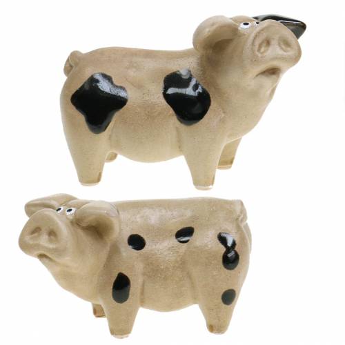 Floristik24 Set di 2 cm 11 in ceramica maculata di maiale
