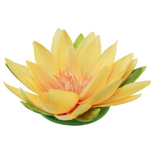 Floristik24 Ninfea galleggiante artificiale decorazione estiva gialla Ø15cm 2 pezzi