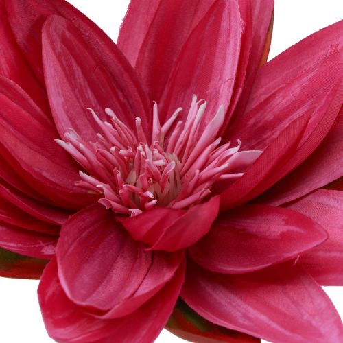 Prodotto Decorazione da tavolo artificiale a forma di ninfea galleggiante fucsia Ø15cm 2 pezzi