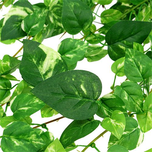 Floristik24 Scindapsus viticcio artificiale 90 cm