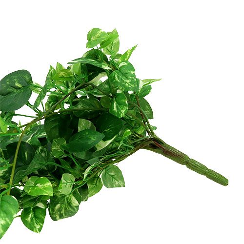 Floristik24 Scindapsus viticcio artificiale 90 cm