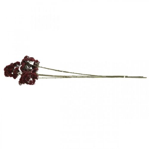 Floristik24 Sedum sedum rosso artificiale decorazione autunnale 70 cm 3 pezzi