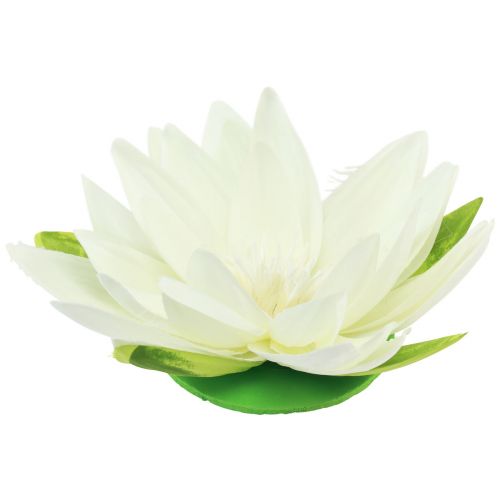 Floristik24 Ninfea Fiore Artificiale Decorazione da Tavolo Galleggiante Bianco Crema Ø15cm