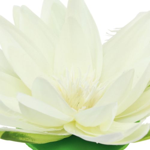 Prodotto Decorazione da tavolo galleggiante con fiore artificiale di ninfea, crema, bianco, Ø15 cm, 2 pezzi
