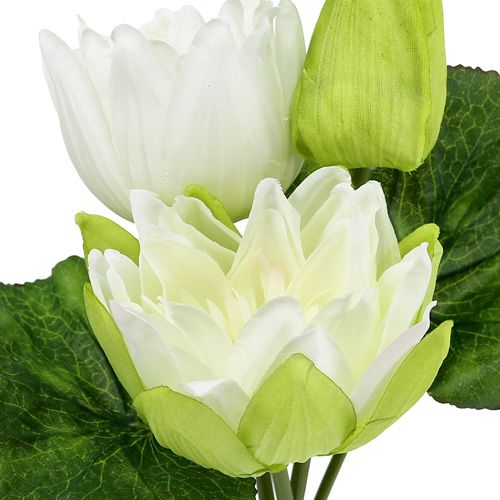 Floristik24 Ninfee artificiali bianche 35cm