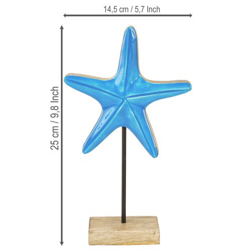Prodotto Decorazione stella marina su base legno naturale blu marittimo H25cm