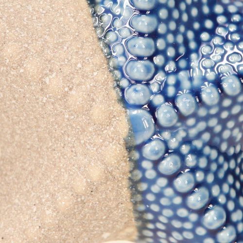 Prodotto Stella Marina Porcellana Sabbia Blu Decorazione da Tavola Marittimo Ø15cm 2pz