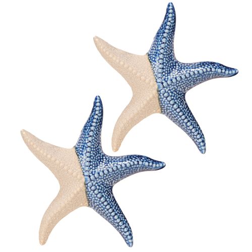 Prodotto Stella Marina Porcellana Sabbia Blu Decorazione da Tavola Marittimo Ø15cm 2pz