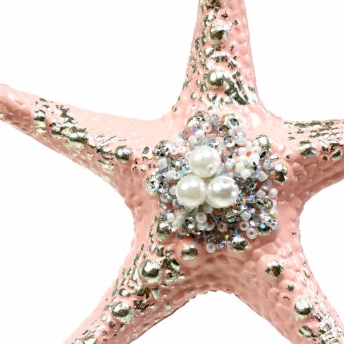 Floristik24 Appendiabiti decorativo stella marina 12 cm 3 pezzi