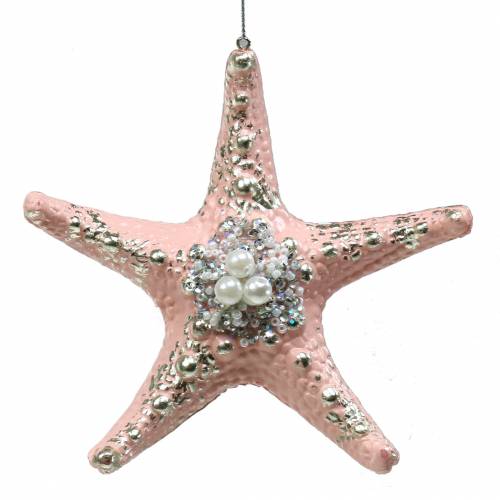 Floristik24 Appendiabiti decorativo stella marina 12 cm 3 pezzi