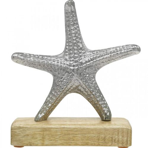 Floristik24 Stella marina in metallo, decoro marittimo, scultura decorativa argento, colori naturali H18cm