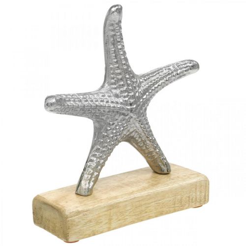 Floristik24 Stella marina in metallo, decoro marittimo, scultura decorativa argento, colori naturali H18cm