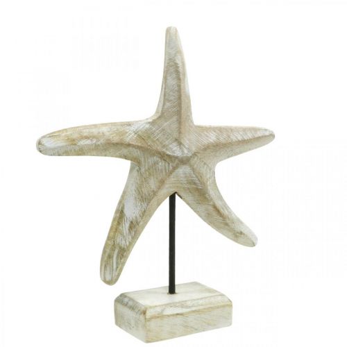 Floristik24 Stella marina da posizionare, decoro in legno marittimo colore naturale, bianco H23,5cm