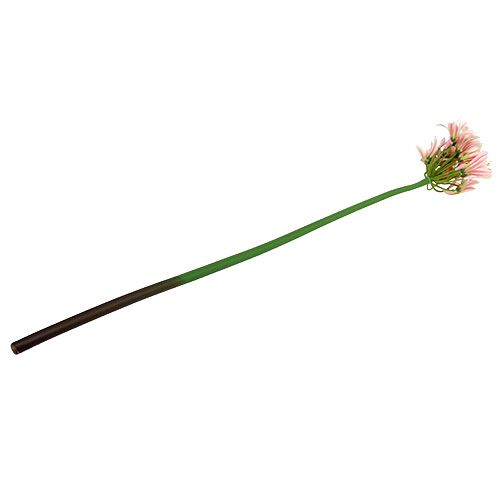 Floristik24 Fiore di seta agapanthus rosa 80cm